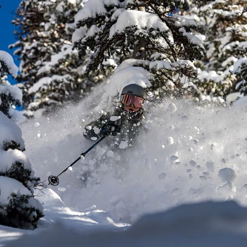 Pamela A. Walton's goddaughter, Alliy Hansen skiing in the snow between trees